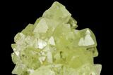 Yellow-Green Adamite Crystal Cluster - Durango, Mexico #127030-1
